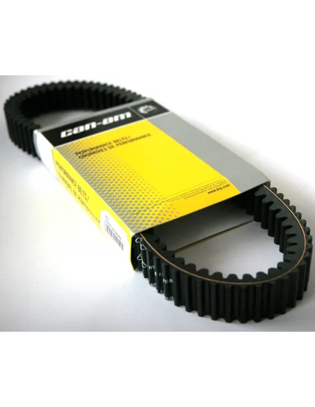 Ремінь варіатора BRP 715000302 | Оригінал