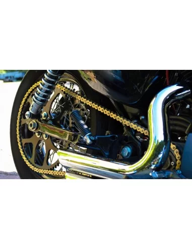 Приводний ланцюг DID 530VX3 Gold