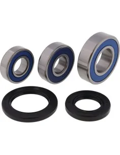 Подшипники заднего колеса ALL BALLS 25-1703 | Yamaha: FJ09, FZ07, FZ09, MT07, MT09, Tracer 900, XSR700, XSR900, Tenere 700, R7