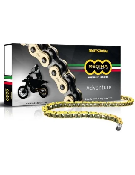 Мотоцепь Regina ZRE 525 (Gold)